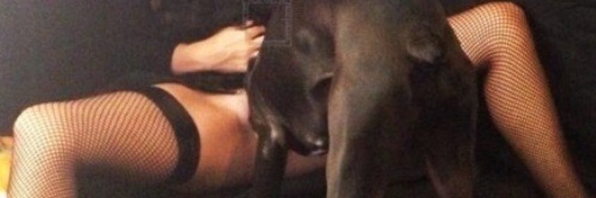 fuckingknottyLi's profile banner image