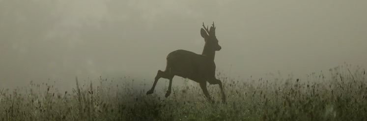 ten banner