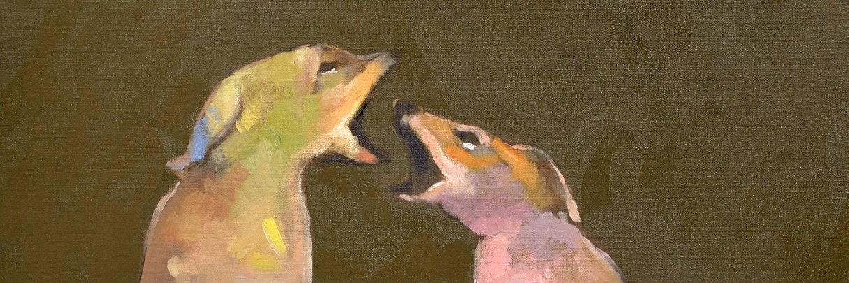 readinganimal's profile banner image