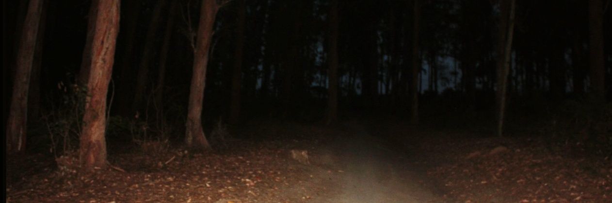 Garvazzo 🐺🌕 | nsfw banner