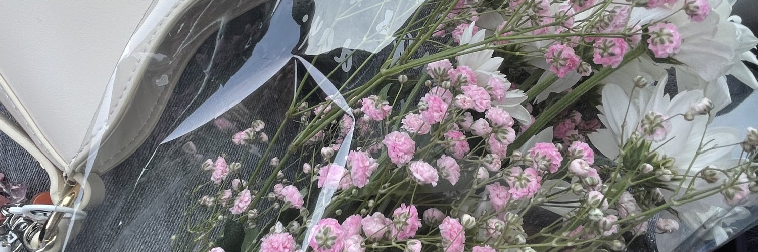 sofia banner