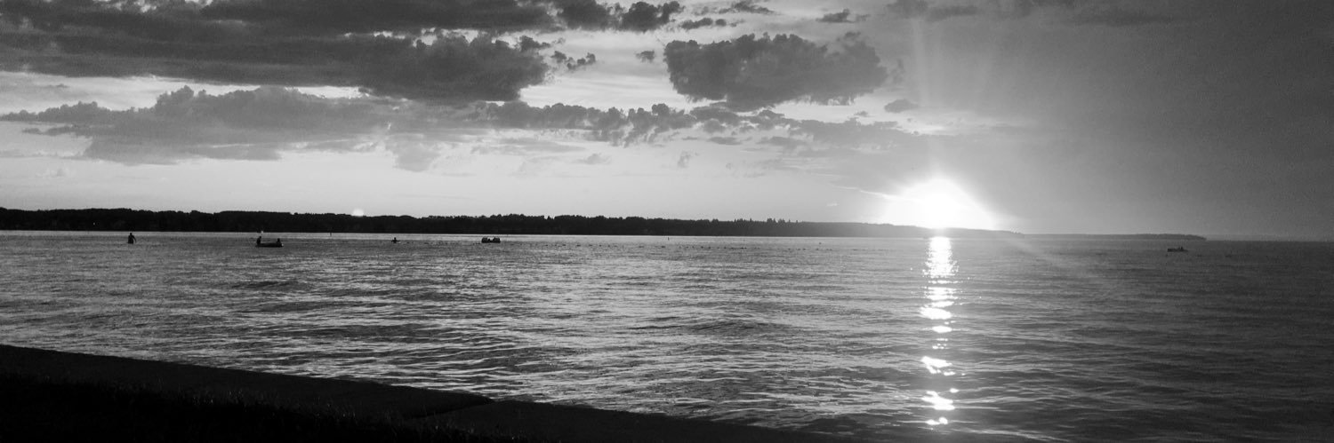 iamlibrarian123's profile banner image