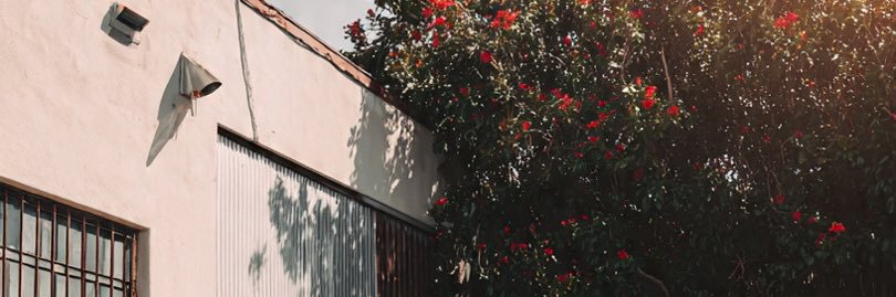 Sandrabullk banner