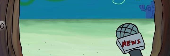 Turtle banner