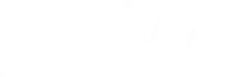 🍀 banner