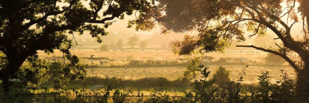 Matparkinson's profile banner image