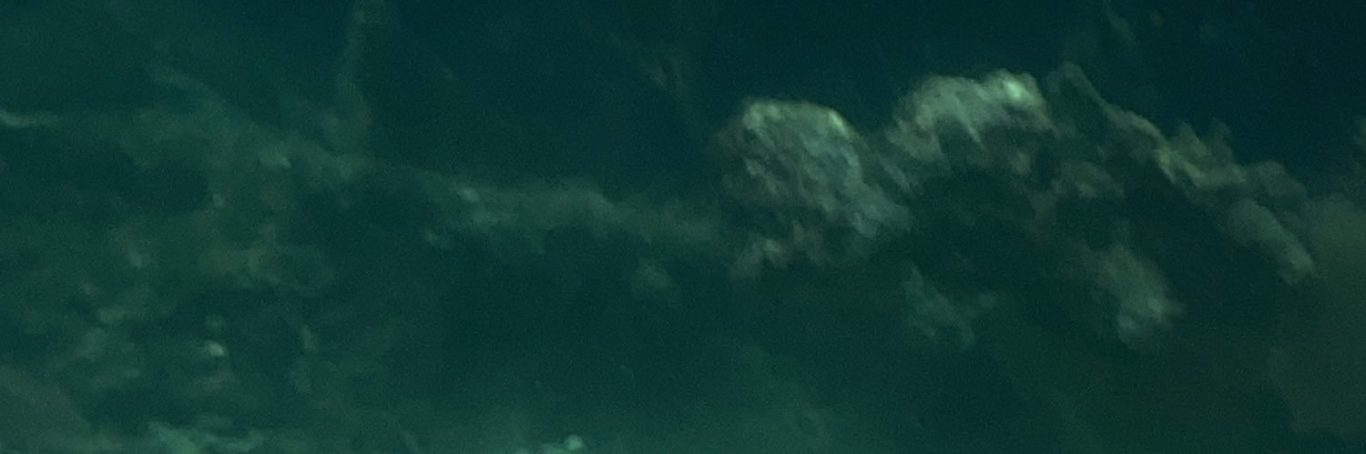 stup1mutt's profile banner image
