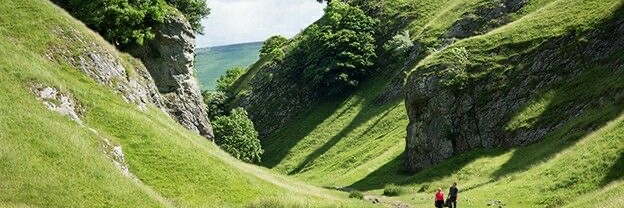 Sulfielover's profile banner image