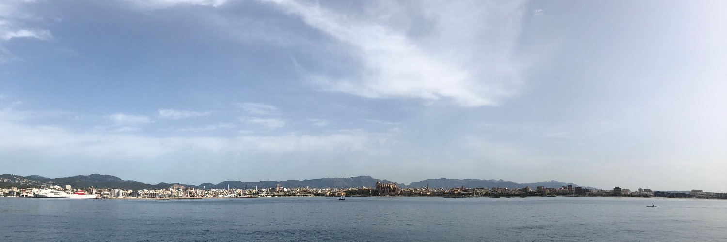 maylyntan's profile banner image
