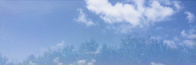 koneillll's profile banner image