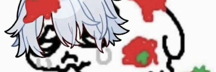 efi banner