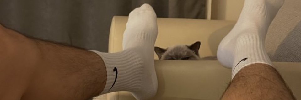 Master william banner