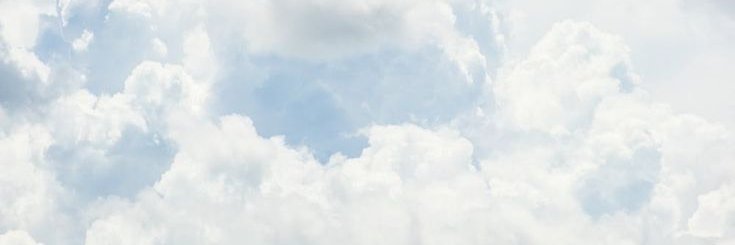 melo 🐧 banner