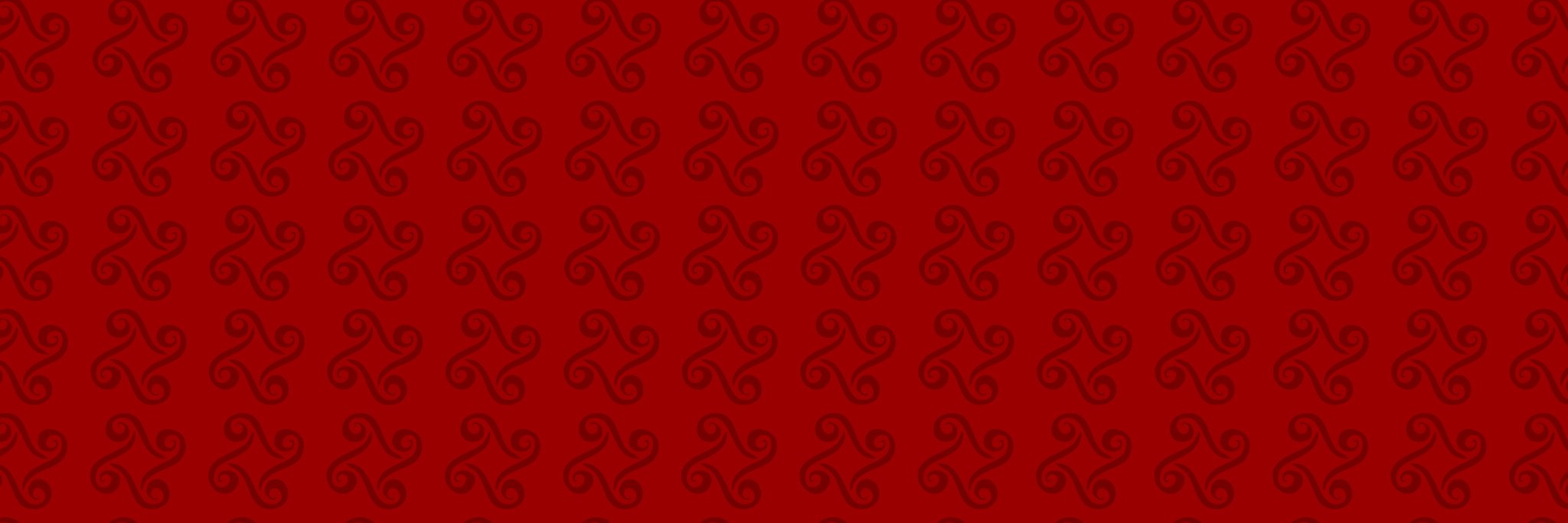 GuadalupeVicon's profile banner image