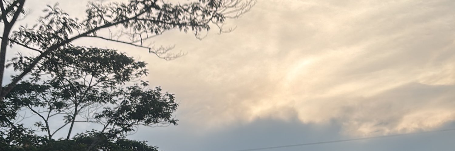 Han banner