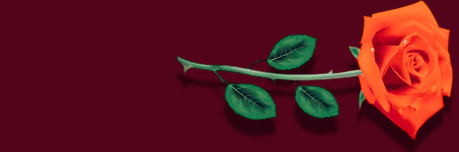 ᴛ ʜ ᴏ ʀ ɴ ᴇ ᴅ 🌹 banner