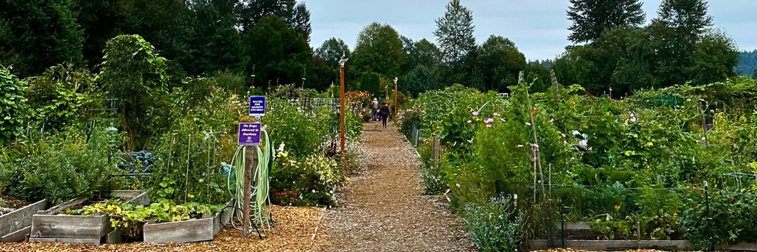 King County Natural Resources and Parks banner