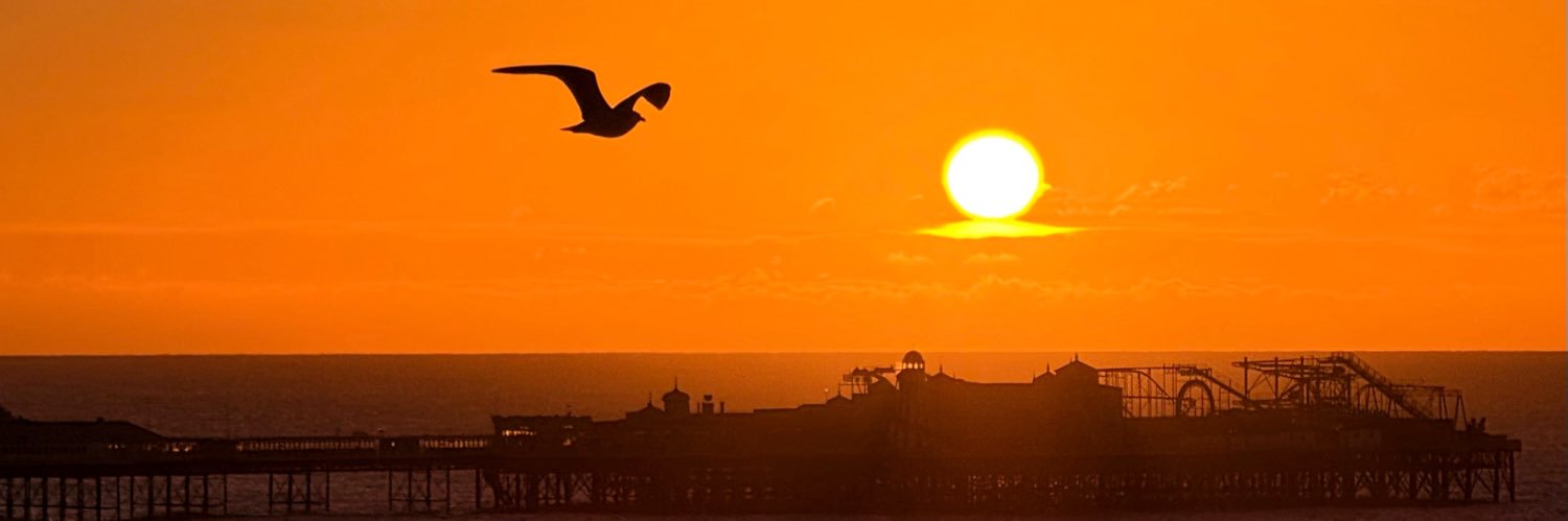 Stephen Royle banner