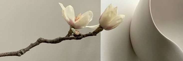 xouuuns's profile banner image