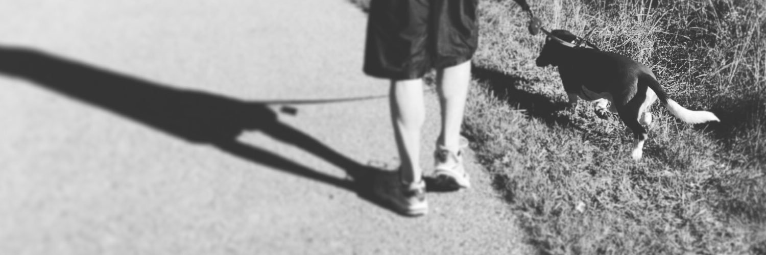 JamesKuch's profile banner image