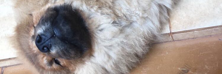 PaaulaKaory's profile banner image