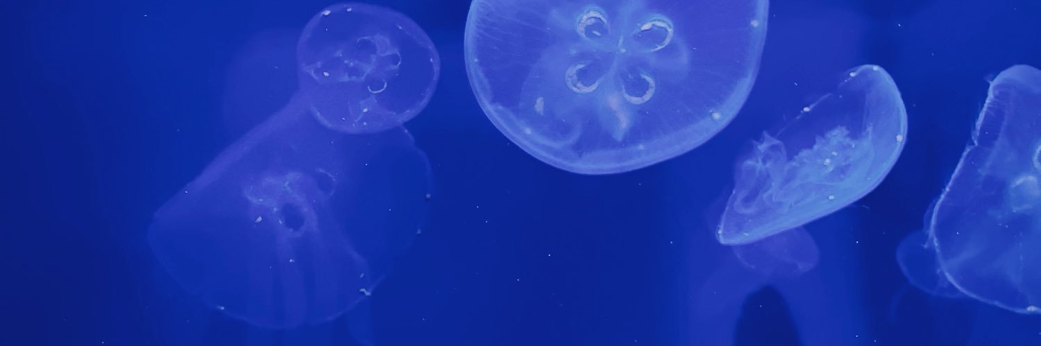 あまに banner