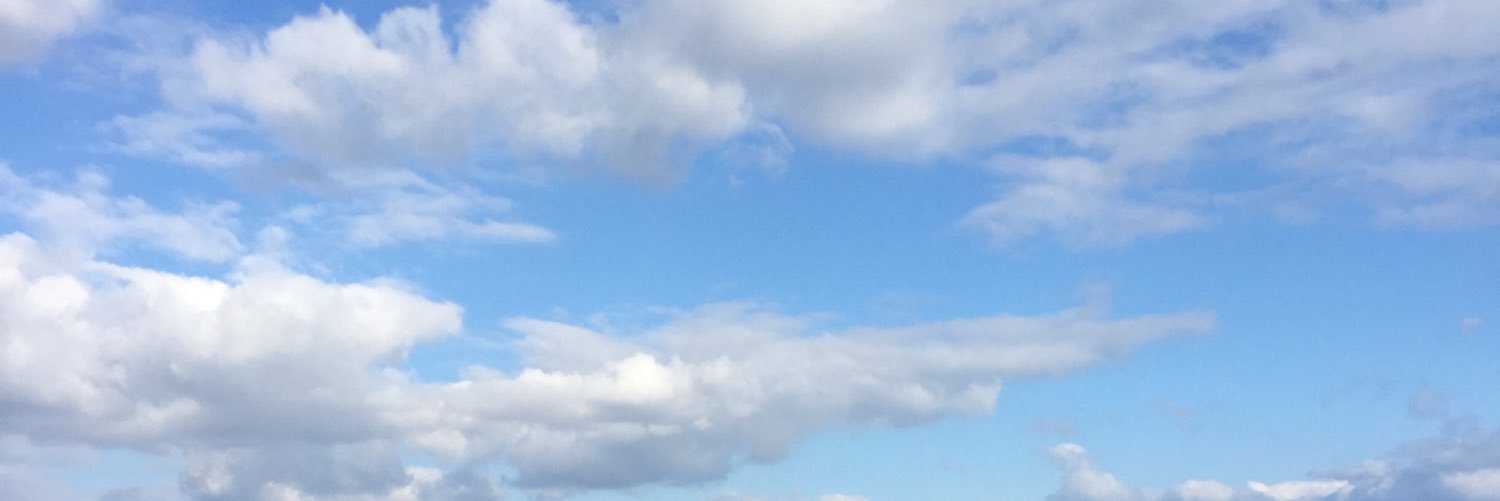 Clean Air Council banner