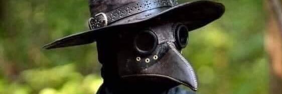 Nolwe Celelynnlhûn banner