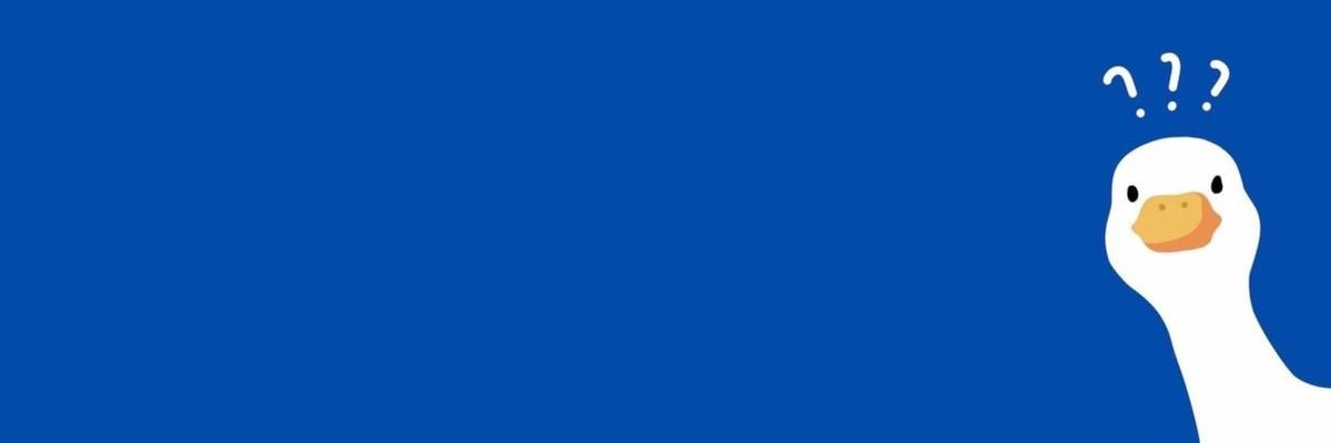 duck crypto 🔶 BNB banner