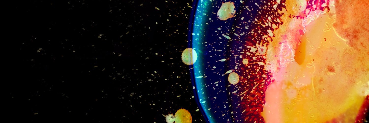 zuehlke's profile banner image