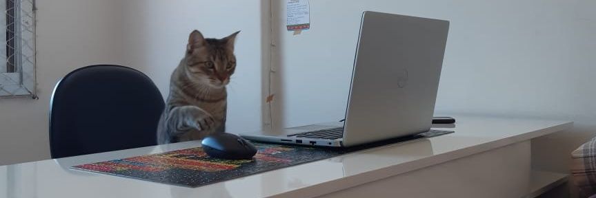 dudammmmmm's profile banner image