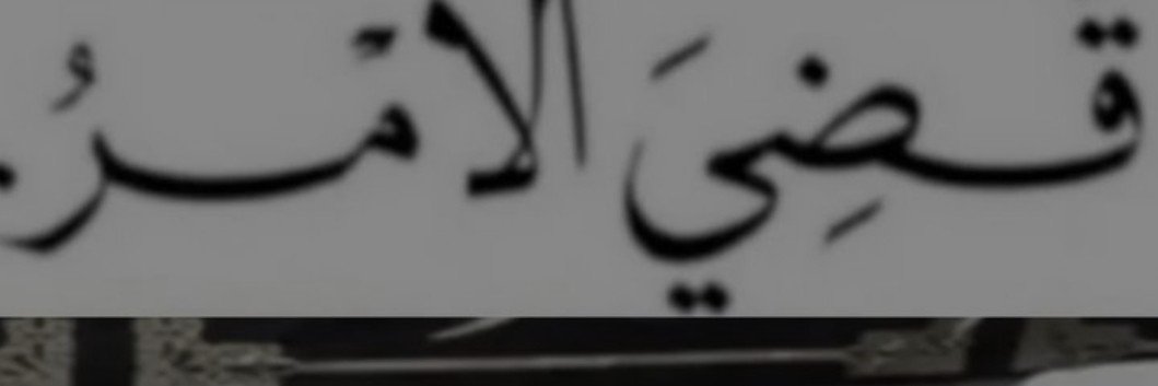 tyintrobia's profile banner image