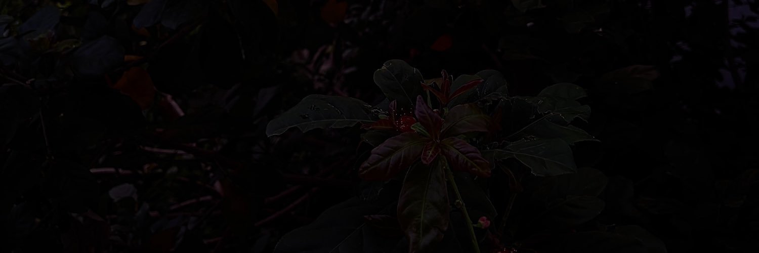 berri12122's profile banner image