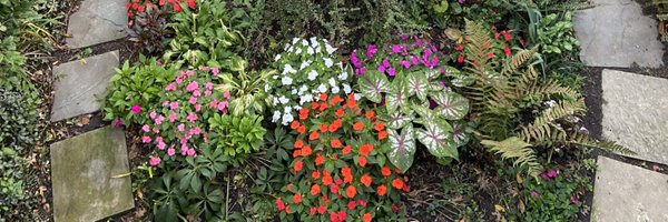 StringsTeacher Profile Banner