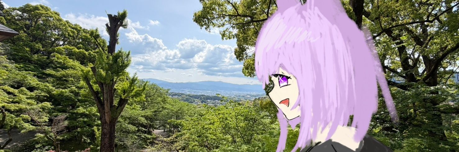 hakua_desu's profile banner image