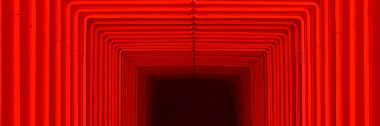 sergio fregoni banner
