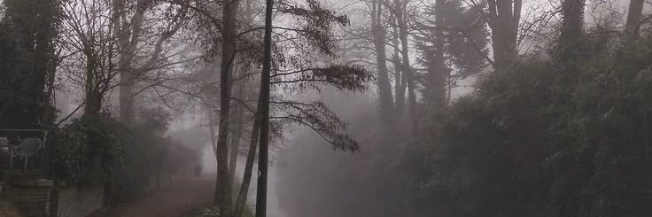 Punished Nikolaos banner