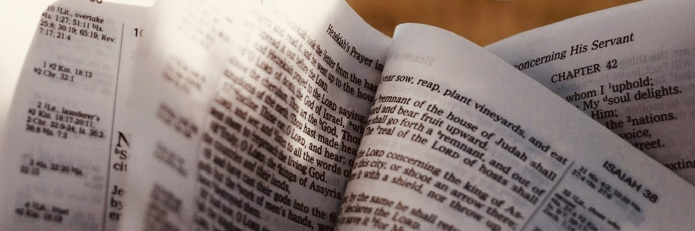 Jesus spricht die Wahrheit banner