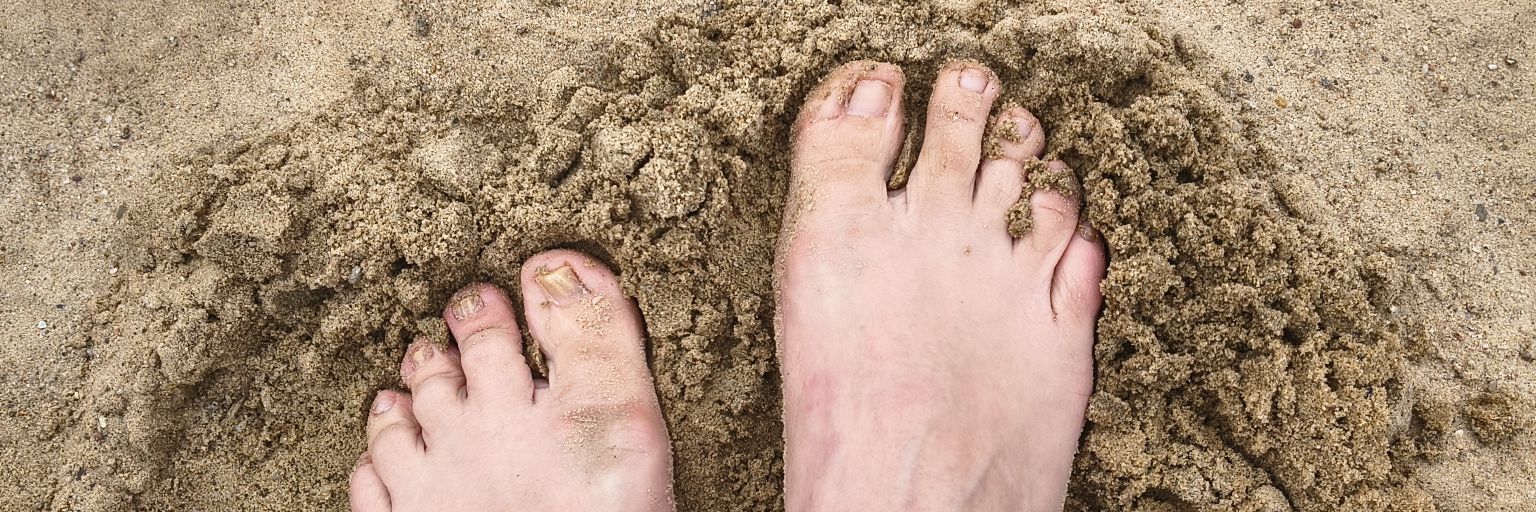 sweetfeet banner