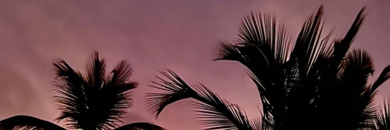 Milsanz's profile banner image