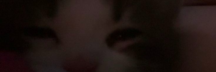 𝑳𝒊𝒔𝒂 ✿ banner