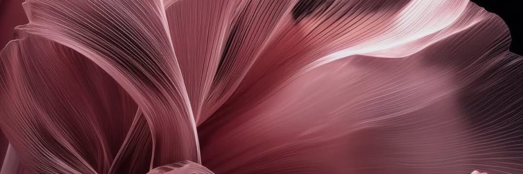 🍒 banner
