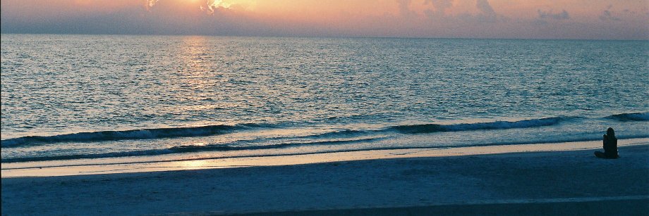 joyceborniard's profile banner image