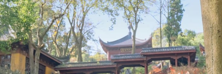 Niney ⋇⋆✦ banner