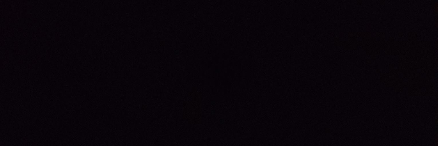 Dolphin09170's profile banner image