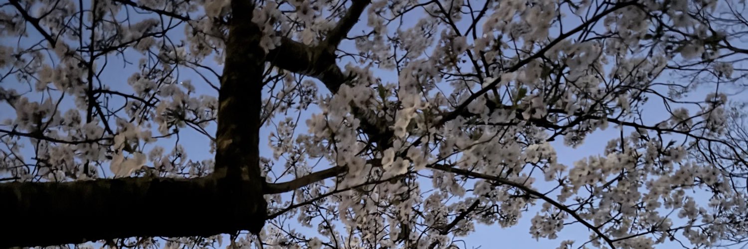 れんれん banner