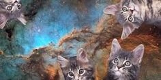 __TriSarahTops's profile banner image