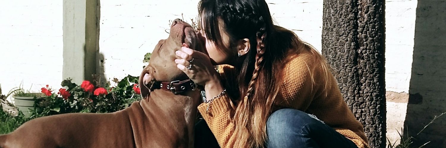 micaelarmr's profile banner image
