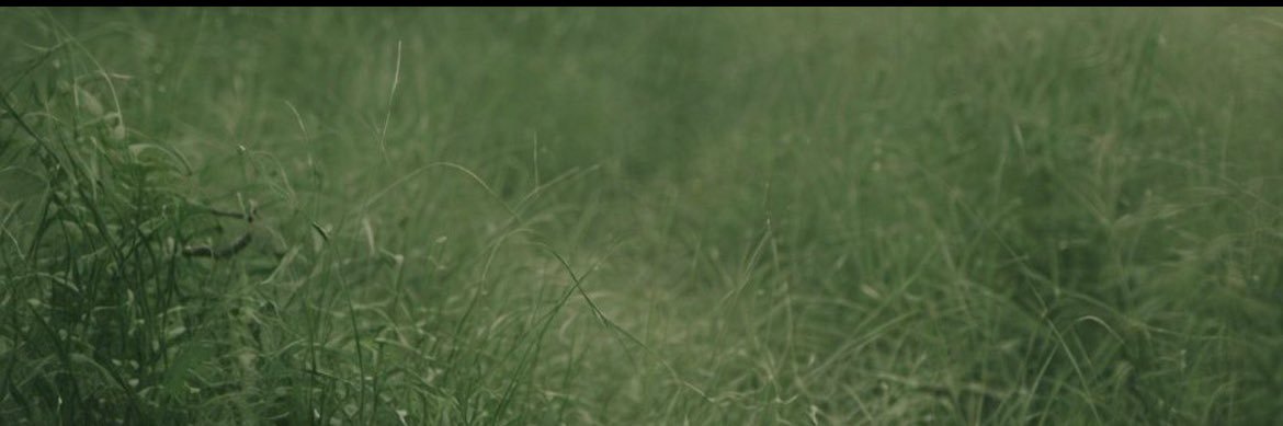 DR7 ⇱ arya | اريا banner