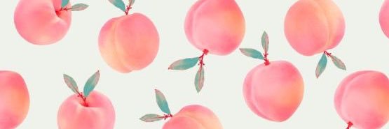 holsjordan's profile banner image